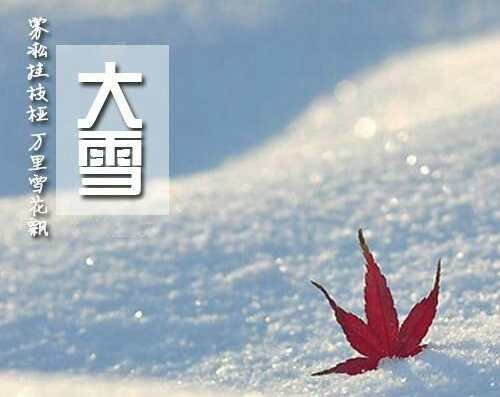 大雪補硒