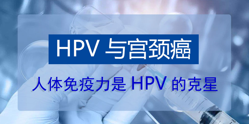 HPV病毒真的那么可怕嗎？人體免疫力是HPV的克星