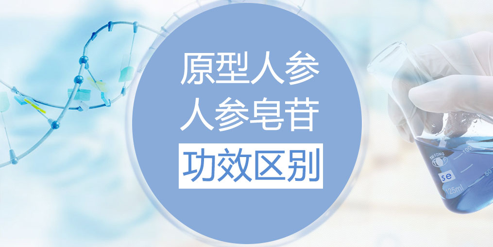 人參和人參皂苷的功效區(qū)別在哪里？