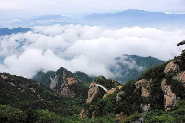 大別山的靈芝孢子粉為什么好？